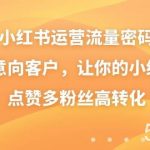 （8764期）小红书运营流量密码，揽获意向客户，让你的小红书高点赞多粉丝高转化-我创创业-副业网-网络创业-资源分享-网课资源-学习教程-学知识-自媒体-抖音-视频号-小红书-网络项目,赚钱软件,副业,兼职,学生赚,挂机赚-我创创业-副业网-5ccy.cn