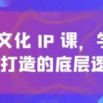 短视频文化IP课,学习文化IP打造的底层逻辑-我创创业-副业网-网络创业-资源分享-网课资源-学习教程-学知识-自媒体-抖音-视频号-小红书-网络项目,赚钱软件,副业,兼职,学生赚,挂机赚-我创创业-副业网-5ccy.cn