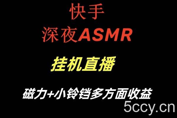 快手深夜ASMR挂机直播磁力 小铃铛多方面收益-我创创业-副业网-网络创业-资源分享-网课资源-学习教程-学知识-自媒体-抖音-视频号-小红书-网络项目,赚钱软件,副业,兼职,学生赚,挂机赚-我创创业-副业网-5ccy.cn