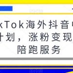 TikTok海外抖音中视频计划,涨粉变现提现陪跑服务-我创创业-副业网-网络创业-资源分享-网课资源-学习教程-学知识-自媒体-抖音-视频号-小红书-网络项目,赚钱软件,副业,兼职,学生赚,挂机赚-我创创业-副业网-5ccy.cn
