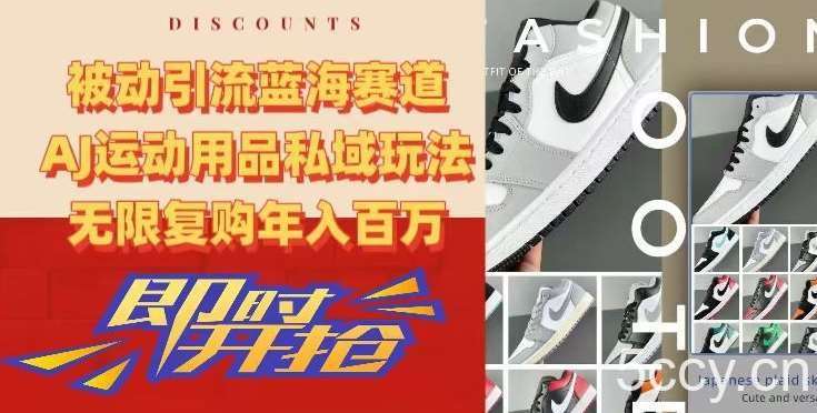 被动引流蓝海赛道，AJ运动用品私域玩法，无限复购年入百万【揭秘】-我创创业-副业网-网络创业-资源分享-网课资源-学习教程-学知识-自媒体-抖音-视频号-小红书-网络项目,赚钱软件,副业,兼职,学生赚,挂机赚-我创创业-副业网-5ccy.cn