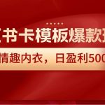 小红书卡模板爆款玩法，售卖情趣内衣，日盈利500-我创创业-副业网-网络创业-资源分享-网课资源-学习教程-学知识-自媒体-抖音-视频号-小红书-网络项目,赚钱软件,副业,兼职,学生赚,挂机赚-我创创业-副业网-5ccy.cn