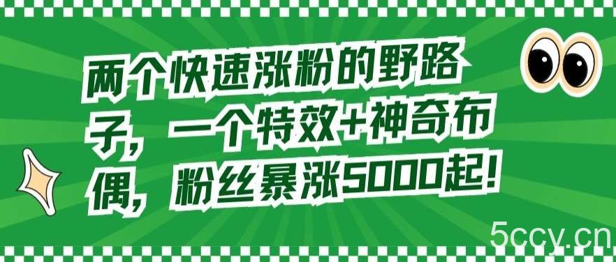 两个快速涨粉的野路子，一个特效 神奇布偶，粉丝暴涨5000起【揭秘】-我创创业-副业网-网络创业-资源分享-网课资源-学习教程-学知识-自媒体-抖音-视频号-小红书-网络项目,赚钱软件,副业,兼职,学生赚,挂机赚-我创创业-副业网-5ccy.cn