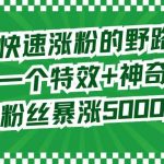 (8606期)两个快速涨粉的野路子,一个特效 神奇布偶,粉丝暴涨5000起!-我创创业-副业网-网络创业-资源分享-网课资源-学习教程-学知识-自媒体-抖音-视频号-小红书-网络项目,赚钱软件,副业,兼职,学生赚,挂机赚-我创创业-副业网-5ccy.cn