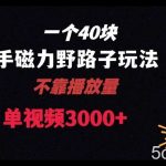一个40块,快手联合美团磁力新玩法,无视机制野路子玩法,单视频收益4位数【揭秘】-我创创业-副业网-网络创业-资源分享-网课资源-学习教程-学知识-自媒体-抖音-视频号-小红书-网络项目,赚钱软件,副业,兼职,学生赚,挂机赚-我创创业-副业网-5ccy.cn