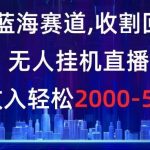 冷门蓝海赛道,收割回忆粉,无人挂机直播,单场收入轻松2000-5w 【揭秘】-我创创业-副业网-网络创业-资源分享-网课资源-学习教程-学知识-自媒体-抖音-视频号-小红书-网络项目,赚钱软件,副业,兼职,学生赚,挂机赚-我创创业-副业网-5ccy.cn