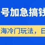 视频号加急搞钱计划,蓝海冷门玩法,日入500 【揭秘】-我创创业-副业网-网络创业-资源分享-网课资源-学习教程-学知识-自媒体-抖音-视频号-小红书-网络项目,赚钱软件,副业,兼职,学生赚,挂机赚-我创创业-副业网-5ccy.cn