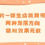 (8552期)图片一键生成跳舞视频,两种发展方向,吸粉效果无敌,-我创创业-副业网-网络创业-资源分享-网课资源-学习教程-学知识-自媒体-抖音-视频号-小红书-网络项目,赚钱软件,副业,兼职,学生赚,挂机赚-我创创业-副业网-5ccy.cn