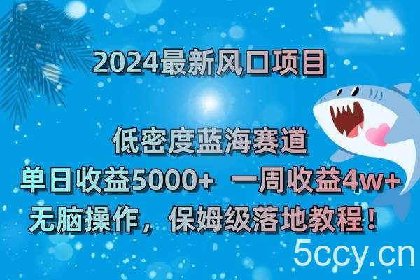 (8545期)2024最新风口项目 低密度蓝海赛道,日收益5000 周收益4w 无脑操作,保…