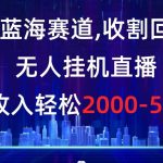 (8544期)冷门蓝海赛道,收割回忆粉,无人挂机直播,单场收入轻松2000-5w-我创创业-副业网-网络创业-资源分享-网课资源-学习教程-学知识-自媒体-抖音-视频号-小红书-网络项目,赚钱软件,副业,兼职,学生赚,挂机赚-我创创业-副业网-5ccy.cn