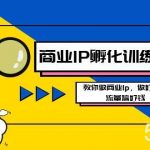 (8539期)商业IP-孵化训练营新版,教你做商业Ip,做好人设,流量搞好钱-我创创业-副业网-网络创业-资源分享-网课资源-学习教程-学知识-自媒体-抖音-视频号-小红书-网络项目,赚钱软件,副业,兼职,学生赚,挂机赚-我创创业-副业网-5ccy.cn