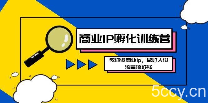 (8539期)商业IP-孵化训练营新版,教你做商业Ip,做好人设,流量搞好钱