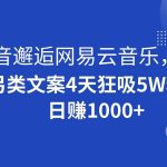 抖音邂逅网易云音乐,另类文案4天狂吸5W粉,日赚1000-我创创业-副业网-网络创业-资源分享-网课资源-学习教程-学知识-自媒体-抖音-视频号-小红书-网络项目,赚钱软件,副业,兼职,学生赚,挂机赚-我创创业-副业网-5ccy.cn