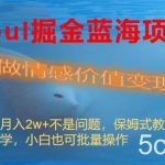 (8531期)Soul掘金蓝海项目细分赛道,做情感价值变现,月入2w 不是问题-我创创业-副业网-网络创业-资源分享-网课资源-学习教程-学知识-自媒体-抖音-视频号-小红书-网络项目,赚钱软件,副业,兼职,学生赚,挂机赚-我创创业-副业网-5ccy.cn