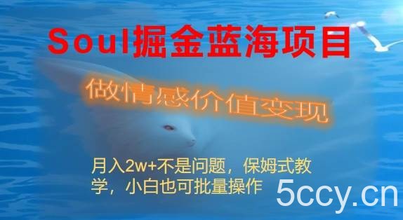 (8531期)Soul掘金蓝海项目细分赛道,做情感价值变现,月入2w 不是问题