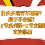 (8479期)拼多多运营不理想?新手不会做?15节系列课 2节直播课,直接掌握-我创创业-副业网-网络创业-资源分享-网课资源-学习教程-学知识-自媒体-抖音-视频号-小红书-网络项目,赚钱软件,副业,兼职,学生赚,挂机赚-我创创业-副业网-5ccy.cn