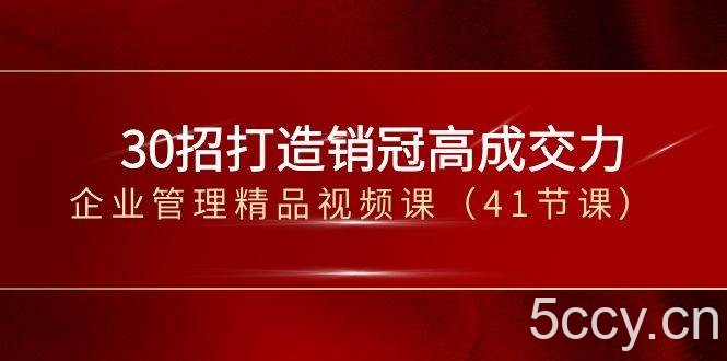 (8477期)30招-打造销冠高成交力-企业管理精品视频课(41节课)