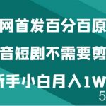 全网首发百分百原创,抖音短剧不需要剪辑新手小白月入1W-我创创业-副业网-网络创业-资源分享-网课资源-学习教程-学知识-自媒体-抖音-视频号-小红书-网络项目,赚钱软件,副业,兼职,学生赚,挂机赚-我创创业-副业网-5ccy.cn