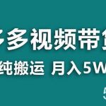 (8491期)【蓝海项目】拼多多视频带货 纯搬运一个月搞了5w佣金,小白也能操作 送工具-我创创业-副业网-网络创业-资源分享-网课资源-学习教程-学知识-自媒体-抖音-视频号-小红书-网络项目,赚钱软件,副业,兼职,学生赚,挂机赚-我创创业-副业网-5ccy.cn
