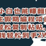 小白也能赚翻!学生假期编程项目,轻松复制粘贴,年货钱轻松到手2W 【揭秘】-我创创业-副业网-网络创业-资源分享-网课资源-学习教程-学知识-自媒体-抖音-视频号-小红书-网络项目,赚钱软件,副业,兼职,学生赚,挂机赚-我创创业-副业网-5ccy.cn