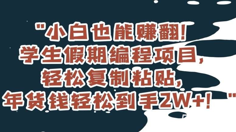 小白也能赚翻！学生假期编程项目，轻松复制粘贴，年货钱轻松到手2W 【揭秘】-我创创业-副业网-网络创业-资源分享-网课资源-学习教程-学知识-自媒体-抖音-视频号-小红书-网络项目,赚钱软件,副业,兼职,学生赚,挂机赚-我创创业-副业网-5ccy.cn