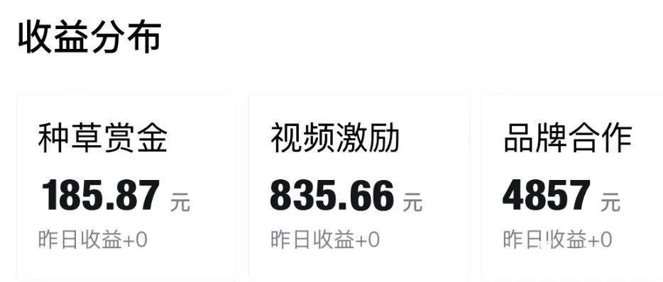 （8395期）得物运营捡钱计划，简单无脑执行，轻松实现日入200-500