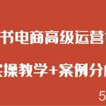 小红书电商高级运营课程 实操教学 案例分析-我创创业-副业网-网络创业-资源分享-网课资源-学习教程-学知识-自媒体-抖音-视频号-小红书-网络项目,赚钱软件,副业,兼职,学生赚,挂机赚-我创创业-副业网-5ccy.cn