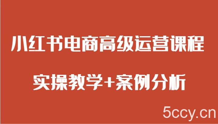 小红书电商高级运营课程 实操教学 案例分析-我创创业-副业网-网络创业-资源分享-网课资源-学习教程-学知识-自媒体-抖音-视频号-小红书-网络项目,赚钱软件,副业,兼职,学生赚,挂机赚-我创创业-副业网-5ccy.cn