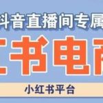 小红书电商高级运营课程，实操教学 案例分析-我创创业-副业网-网络创业-资源分享-网课资源-学习教程-学知识-自媒体-抖音-视频号-小红书-网络项目,赚钱软件,副业,兼职,学生赚,挂机赚-我创创业-副业网-5ccy.cn