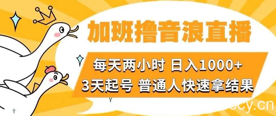 加班撸音浪直播,每天两小时,日入1000 ,直播话术才3句,3天起号,普通人快速拿结果【揭秘】