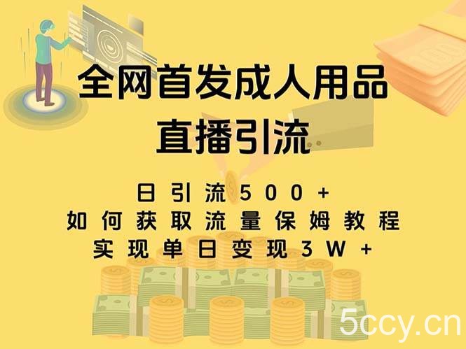（8193期）最新全网独创首发，成人用品直播引流获客暴力玩法，单日变现3w保姆级教程-我创创业-副业网-网络创业-资源分享-网课资源-学习教程-学知识-自媒体-抖音-视频号-小红书-网络项目,赚钱软件,副业,兼职,学生赚,挂机赚-我创创业-副业网-5ccy.cn