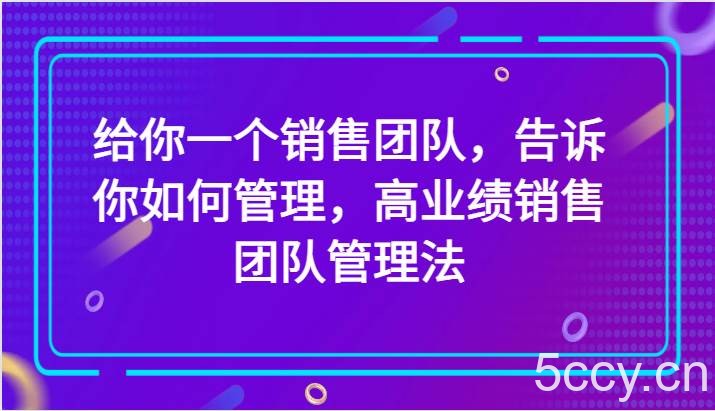 给你一个销售团队，告诉你如何管理，高业绩销售团队管理法（89节课）-我创创业-副业网-网络创业-资源分享-网课资源-学习教程-学知识-自媒体-抖音-视频号-小红书-网络项目,赚钱软件,副业,兼职,学生赚,挂机赚-我创创业-副业网-5ccy.cn