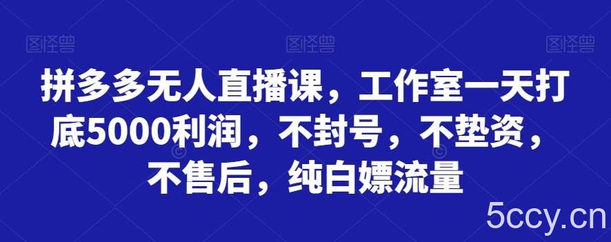 拼多多无人直播课，工作室一天打底5000利润，不封号，不垫资，不售后，纯白嫖流量-我创创业-副业网-网络创业-资源分享-网课资源-学习教程-学知识-自媒体-抖音-视频号-小红书-网络项目,赚钱软件,副业,兼职,学生赚,挂机赚-我创创业-副业网-5ccy.cn