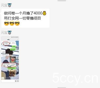 问卷调查兼职项目，随时可做 超低门槛 单号日撸20