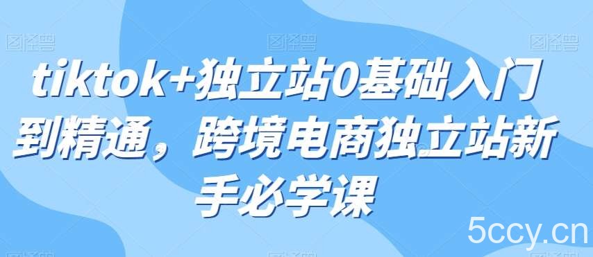 tiktok 独立站0基础入门到精通,跨境电商独立站新手必学课