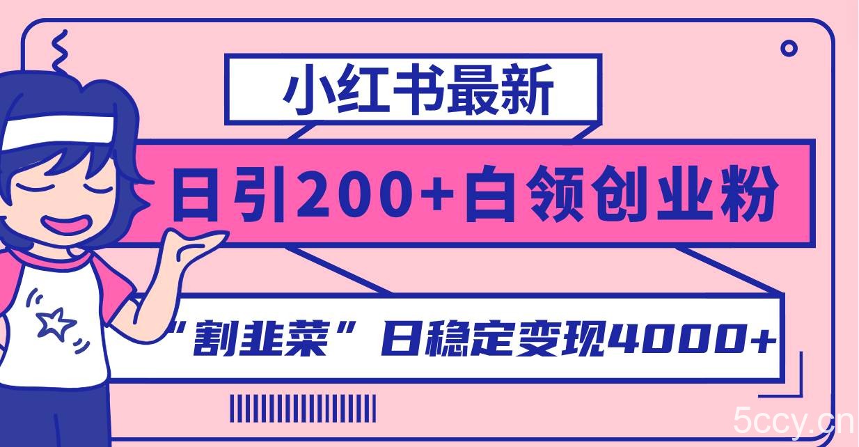 （8052期）小红书最新日引200 创业粉”割韭菜“日稳定变现4000 实操教程！-我创创业-副业网-网络创业-资源分享-网课资源-学习教程-学知识-自媒体-抖音-视频号-小红书-网络项目,赚钱软件,副业,兼职,学生赚,挂机赚-我创创业-副业网-5ccy.cn