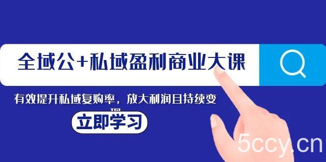 （8045期）全域公 私域盈利商业大课，有效提升私域复购率，放大利润且持续变现-我创创业-副业网-网络创业-资源分享-网课资源-学习教程-学知识-自媒体-抖音-视频号-小红书-网络项目,赚钱软件,副业,兼职,学生赚,挂机赚-我创创业-副业网-5ccy.cn