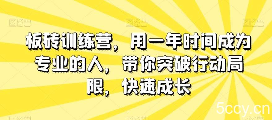 板砖训练营,用一年时间成为专业的人,带你突破行动局限,快速成长