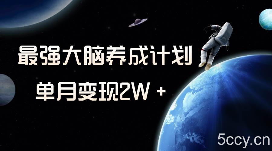 (8077期)冷门虚拟项目,最强大脑养成计划,一个月变现2W+