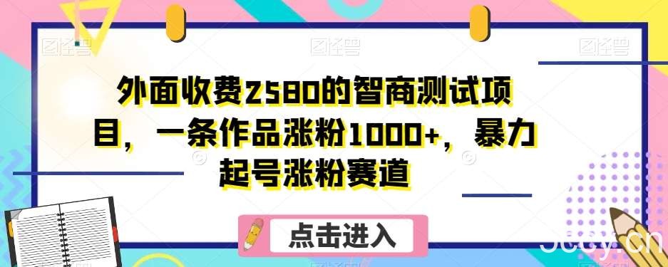 外面收费2580的智商测试项目，一条作品涨粉1000 ，暴力起号涨粉赛道【揭秘】-我创创业-副业网-网络创业-资源分享-网课资源-学习教程-学知识-自媒体-抖音-视频号-小红书-网络项目,赚钱软件,副业,兼职,学生赚,挂机赚-我创创业-副业网-5ccy.cn