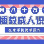直播教成人识字，在家手机简单操作，月入10万-我创创业-副业网-网络创业-资源分享-网课资源-学习教程-学知识-自媒体-抖音-视频号-小红书-网络项目,赚钱软件,副业,兼职,学生赚,挂机赚-我创创业-副业网-5ccy.cn