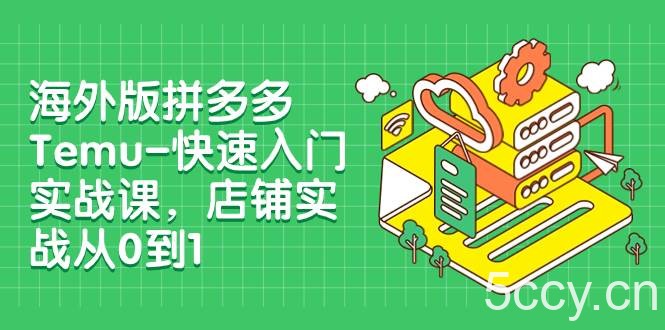 海外版拼多多Temu-快速入门实战课,店铺实战从0到1(12节课)