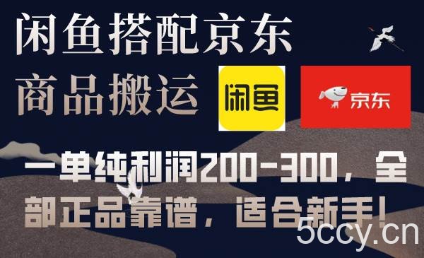（7892期）闲鱼搭配京东备份库搬运，一单纯利润200-300，全部正品靠谱，适合新手！-我创创业-副业网-网络创业-资源分享-网课资源-学习教程-学知识-自媒体-抖音-视频号-小红书-网络项目,赚钱软件,副业,兼职,学生赚,挂机赚-我创创业-副业网-5ccy.cn