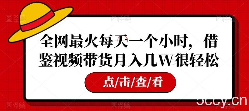 全网最火每天一个小时,借鉴视频带货月入几W很轻松【揭秘】