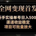 【全网变现首发】新手实操单号日入500 ,渠道收益稳定,项目可批量放大【揭秘】-我创创业-副业网-网络创业-资源分享-网课资源-学习教程-学知识-自媒体-抖音-视频号-小红书-网络项目,赚钱软件,副业,兼职,学生赚,挂机赚-我创创业-副业网-5ccy.cn