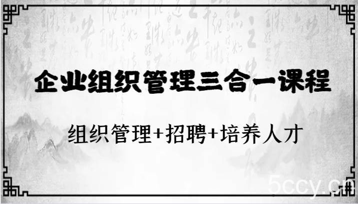 企业组织管理三合一课程:组织管理 招聘 培养人才