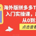 海外版拼多多Temu快速入门实操课,店铺实战从0到1-我创创业-副业网-网络创业-资源分享-网课资源-学习教程-学知识-自媒体-抖音-视频号-小红书-网络项目,赚钱软件,副业,兼职,学生赚,挂机赚-我创创业-副业网-5ccy.cn