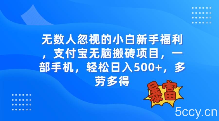 （7830期）无数人忽视的项目，支付宝无脑搬砖项目，一部手机即可操作，轻松日入500-我创创业-副业网-网络创业-资源分享-网课资源-学习教程-学知识-自媒体-抖音-视频号-小红书-网络项目,赚钱软件,副业,兼职,学生赚,挂机赚-我创创业-副业网-5ccy.cn