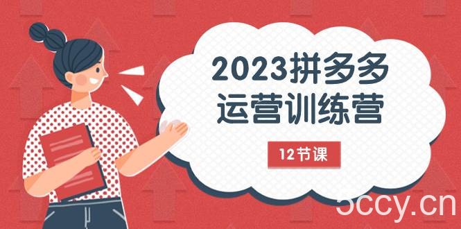 (7805期)2023拼多多运营训练营:流量底层逻辑,免费 付费流量玩法(12节课)