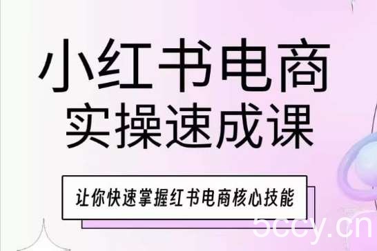 小红书电商实操速成课，让你快速掌握红书电商核心技能-我创创业-副业网-网络创业-资源分享-网课资源-学习教程-学知识-自媒体-抖音-视频号-小红书-网络项目,赚钱软件,副业,兼职,学生赚,挂机赚-我创创业-副业网-5ccy.cn